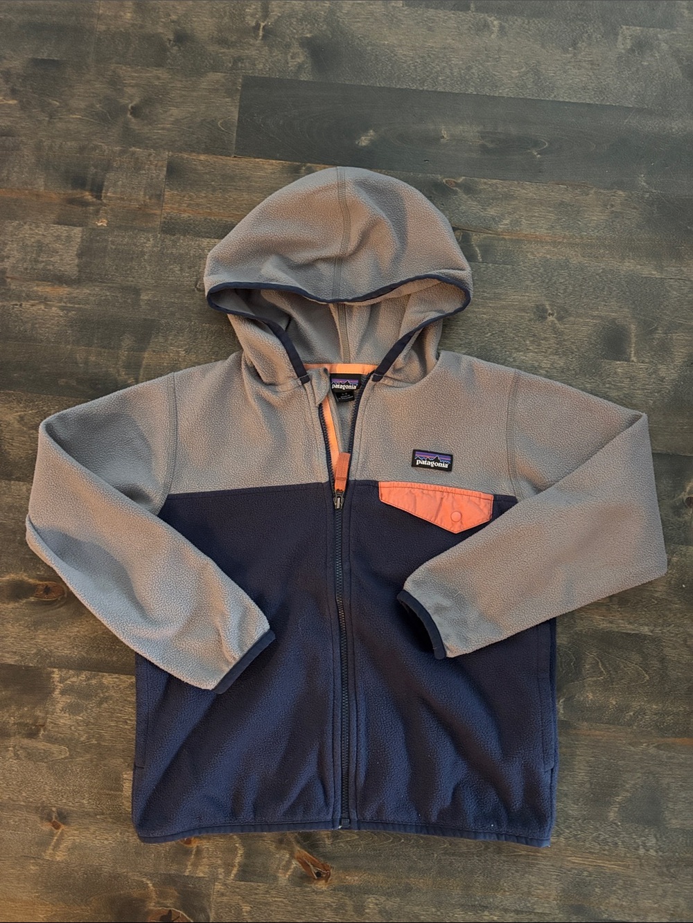 Patagonia Kids Micro D Snap-T Jacket